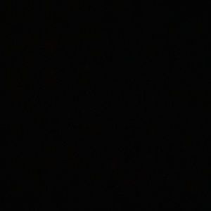 Meet your Posher, Isabelle